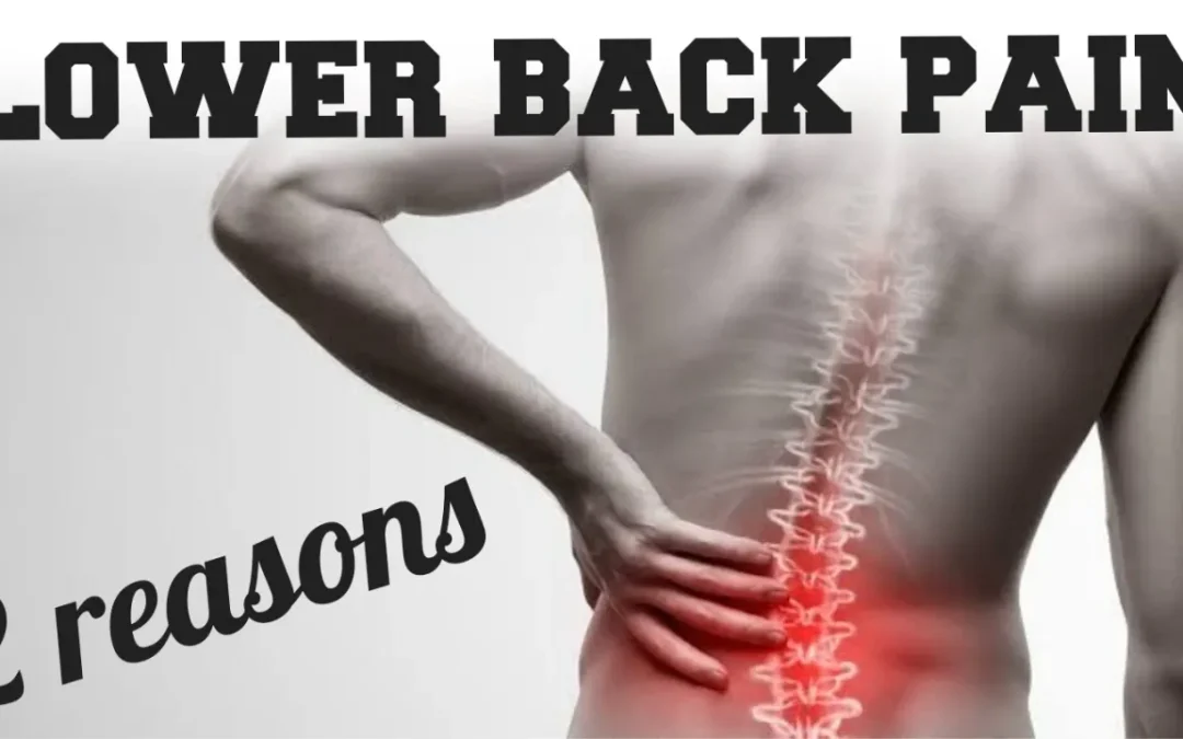 What causes lower back pain? Does the core play a role?