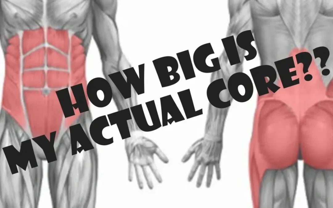 What muscles make up the core?